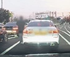 [더영상] ①8차선 한복판 노상방뇨 ②기내 물벼락 ③길고양이 비비탄 공격