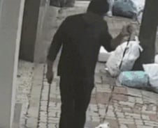 [더영상] ①반려견 '질질' ②편의점 만취난동 ③평생 출입금지