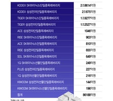 포모 빠지더니 "삼전닉스로 두배 벌어야"…도파민 빠진 개미들