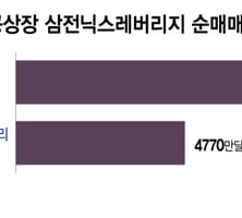 "9조 몰렸는데 홍콩 순매도는 2천억"…서학개미 복귀 효과 '미미'