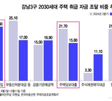 "은행 돈 왜 받아? '부모찬스' 쓰면 되지"…강남 집값 못 잡은 대출규제