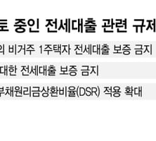 "대한민국에만 있는 사금융"…집값 올린 '전세대출' 대수술