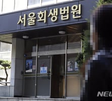회생 기다리다 파산…"시간끌기" vs "재기 노력 이해해야"