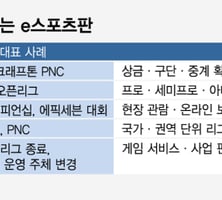 축구게임 우승하면 10억·배그 국대전…e스포츠 '자력구제' 시대