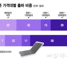 '인상' 써도 '주름' 쫙 폈다...'300만원대 폴더블폰' 통할까