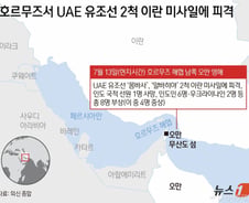 UAE "호르무즈 내 유조선 2척, 이란 미사일에 피격...9명 사상"