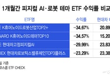 현대차 담은 ETF 수익률 우수수… 피지컬AI 대장주, '반짝'에 그칠까
