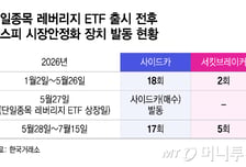 단일종목 레버리지 ETF, 국회에서도 살핀다… 해법 나올까
