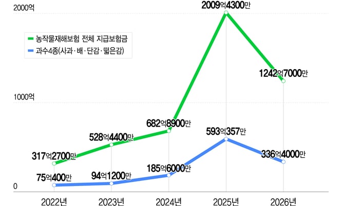 농협손보 대표가 직접 나무에 매달린 사과 세는 이유 썸네일