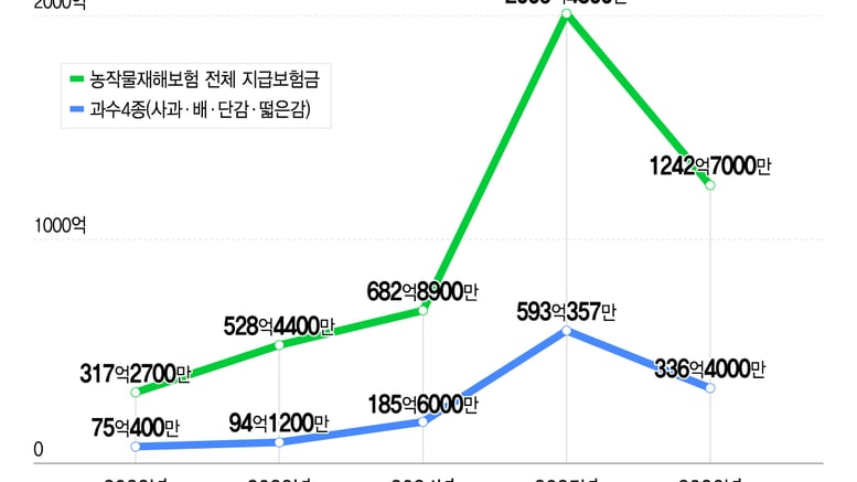 농협손보 대표가 직접 나무에 매달린 사과 세는 이유