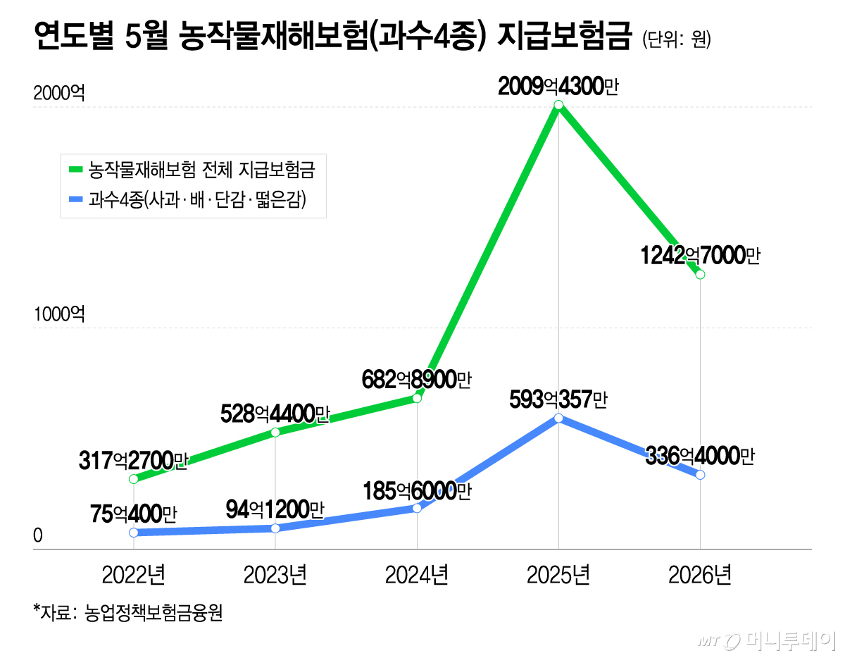 연도별 5월 농작물재해보험(과수4종) 지급보험금/그래픽=이지혜