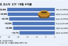 "코스닥 뛰었는데 내 계좌는 왜" ETF 개미 비명…인버스가 수익률 싹쓸이
