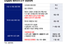 "단일종목레버리지, 예탁금상향·20좌 묶음판매시 시총 4조원으로 줄 것"