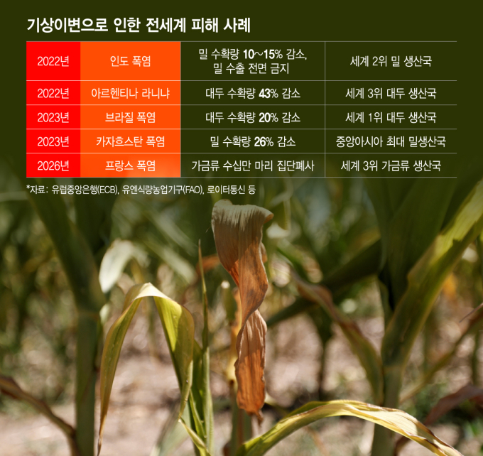 기상이변으로 인한 전 세계 피해 사례 /그래픽=이지혜